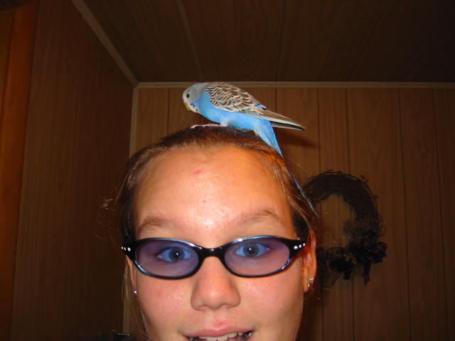100-0005_img.jpg