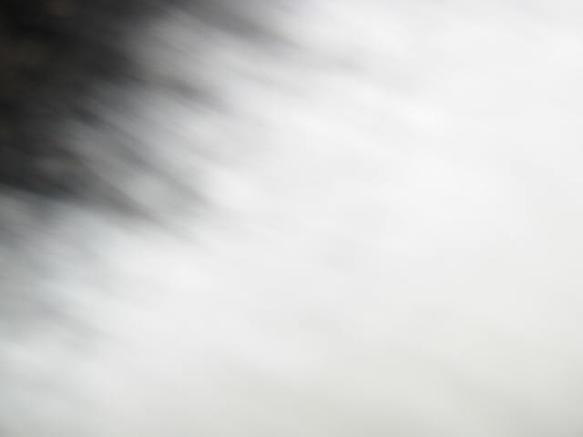 c4.jpg